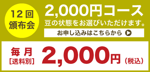 12回頒布2,000円コース